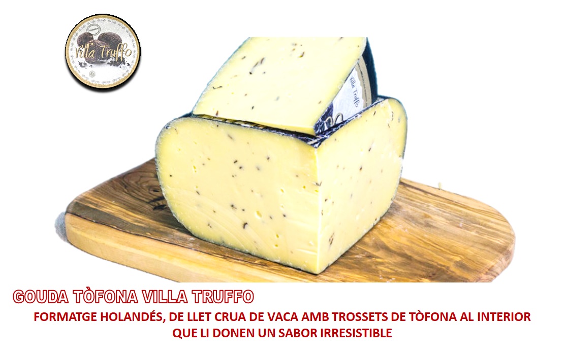 goudatofona.jpg
