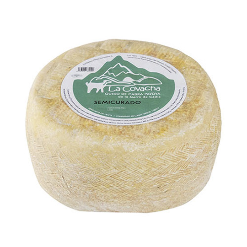 LA COVACHA PAYOYA SEMI