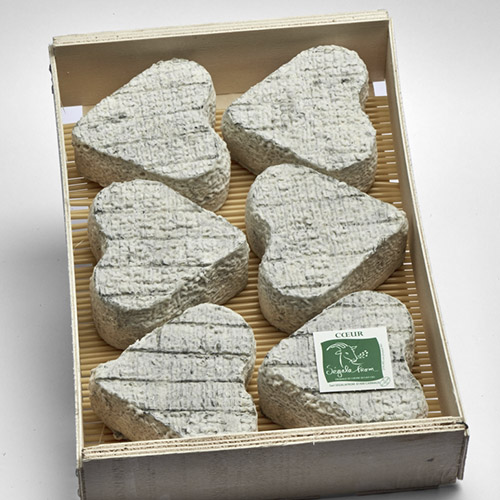 COEUR AMB CENDRA SEGALAFROM