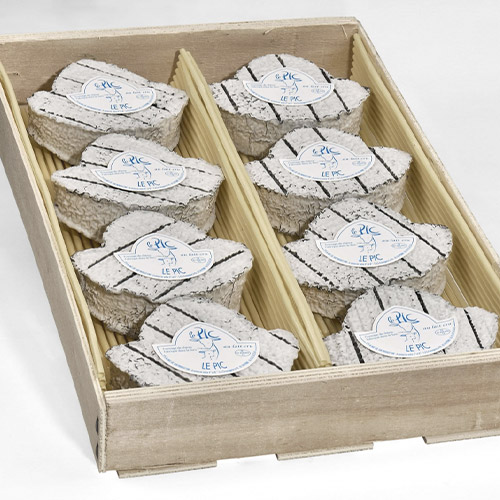 ARBRE NADAL CENDRA LE PIC